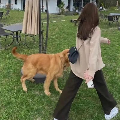 王的盛宴