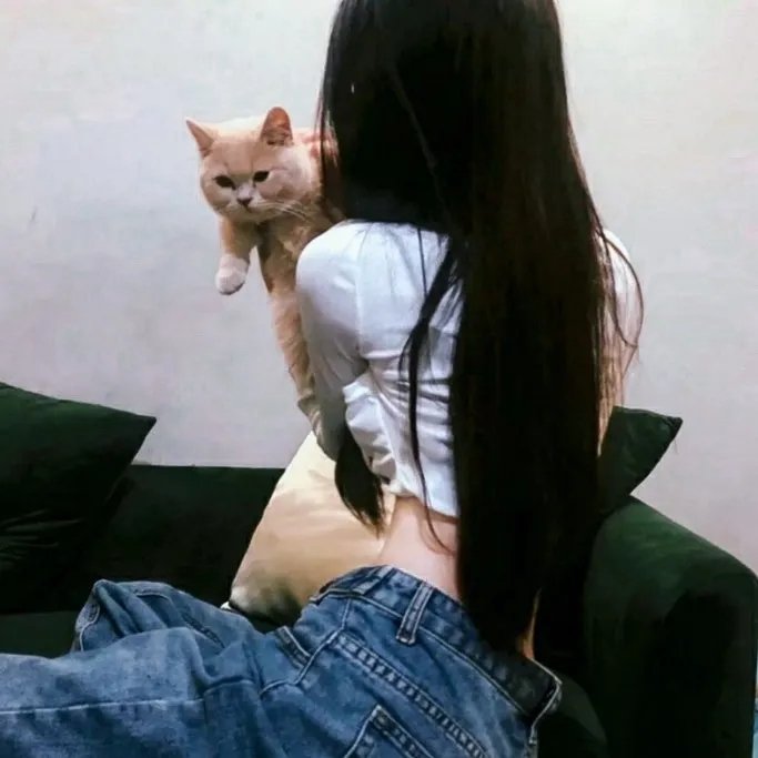 赤火追缉